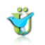 ubertwitter